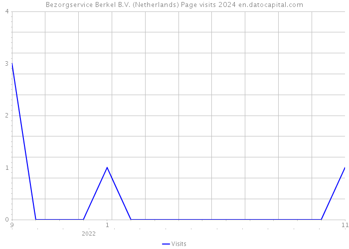 Bezorgservice Berkel B.V. (Netherlands) Page visits 2024 
