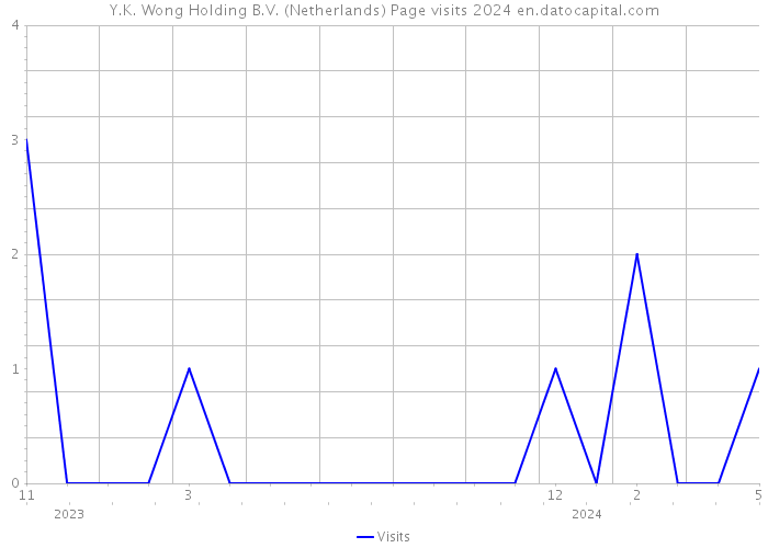 Y.K. Wong Holding B.V. (Netherlands) Page visits 2024 