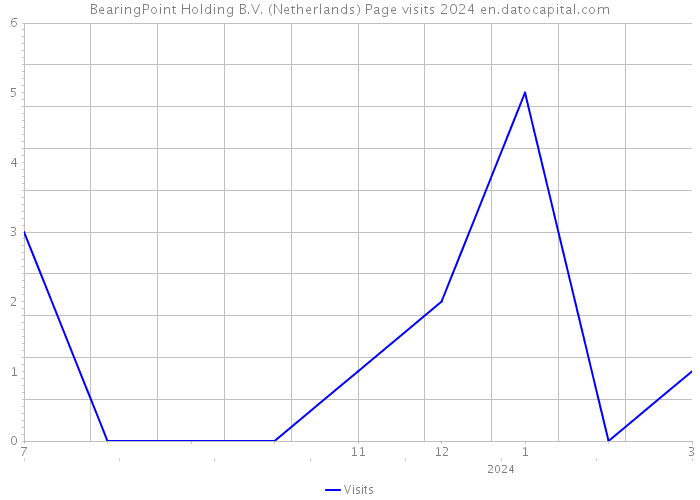 BearingPoint Holding B.V. (Netherlands) Page visits 2024 