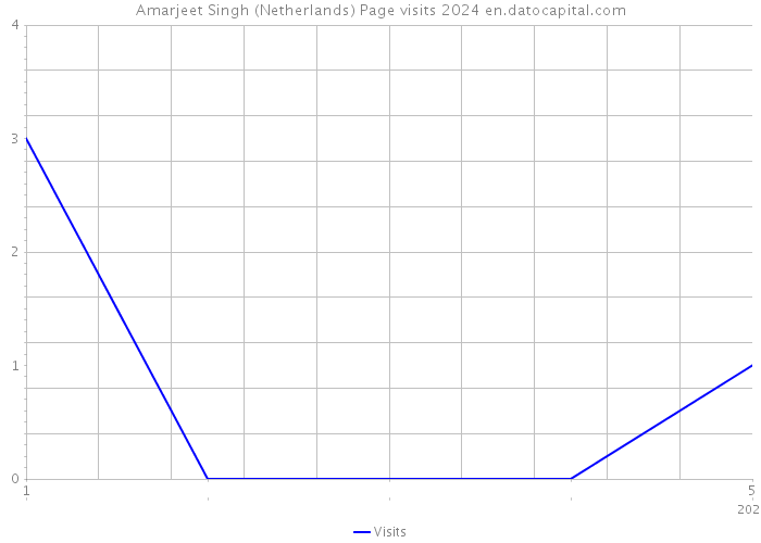 Amarjeet Singh (Netherlands) Page visits 2024 