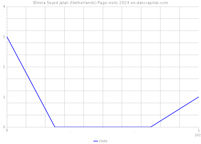 Elmira Seyed Jalali (Netherlands) Page visits 2024 