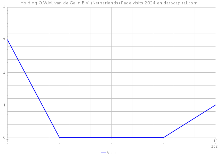 Holding O.W.M. van de Geijn B.V. (Netherlands) Page visits 2024 