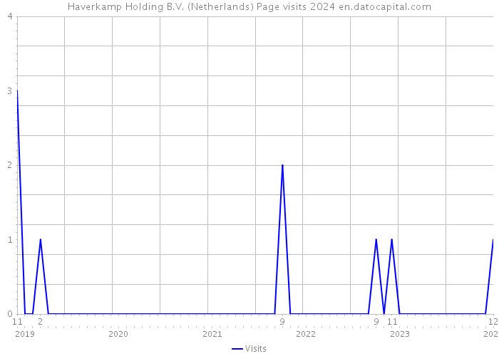 Haverkamp Holding B.V. (Netherlands) Page visits 2024 