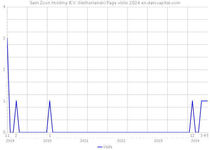 Sam Zoon Holding B.V. (Netherlands) Page visits 2024 