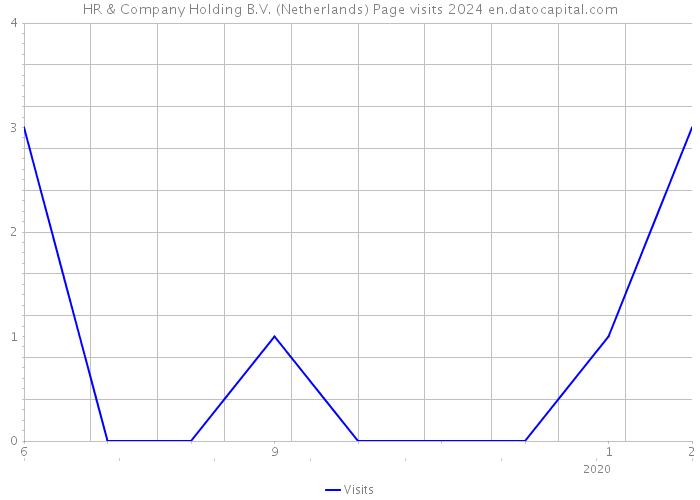 HR & Company Holding B.V. (Netherlands) Page visits 2024 