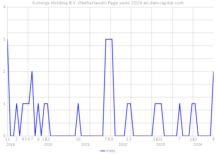 Konings Holding B.V. (Netherlands) Page visits 2024 