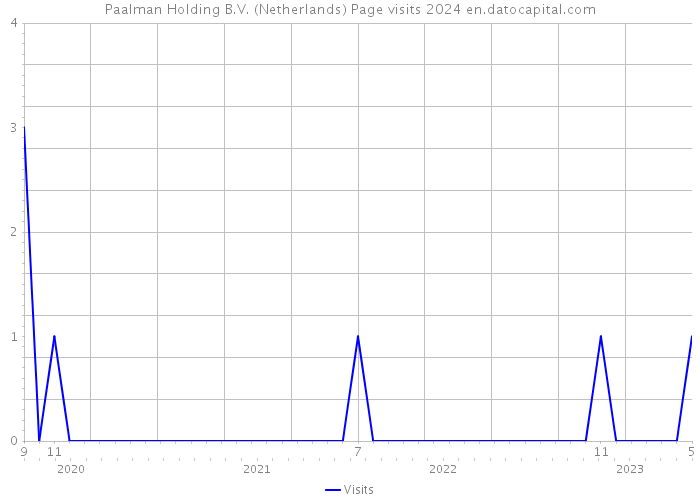 Paalman Holding B.V. (Netherlands) Page visits 2024 