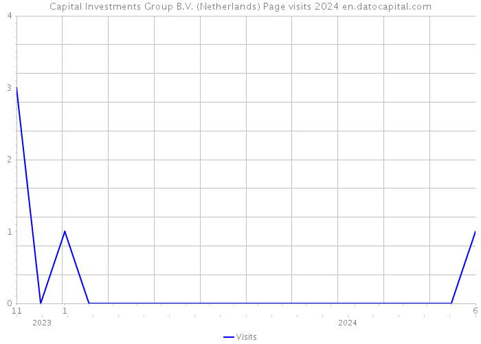 Capital Investments Group B.V. (Netherlands) Page visits 2024 