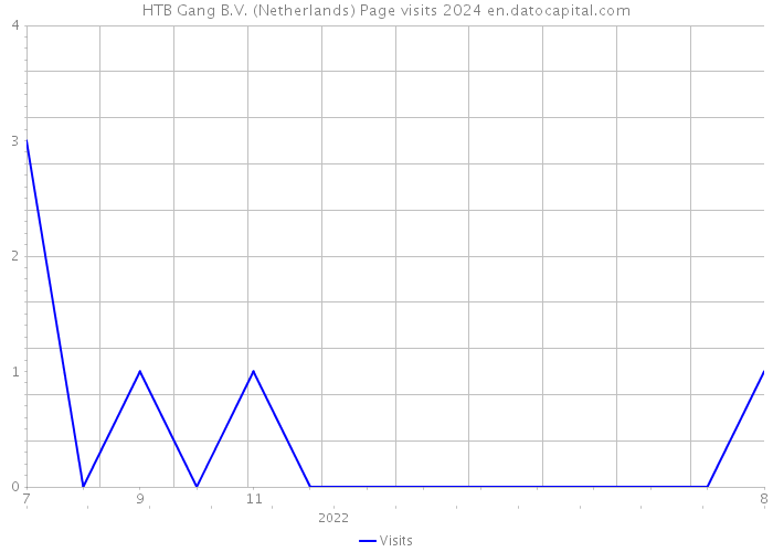 HTB Gang B.V. (Netherlands) Page visits 2024 