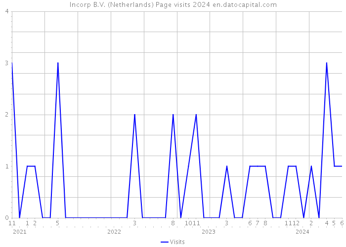 Incorp B.V. (Netherlands) Page visits 2024 