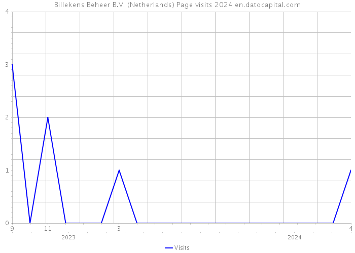 Billekens Beheer B.V. (Netherlands) Page visits 2024 