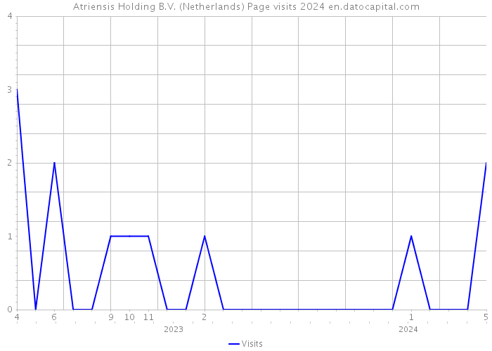 Atriensis Holding B.V. (Netherlands) Page visits 2024 
