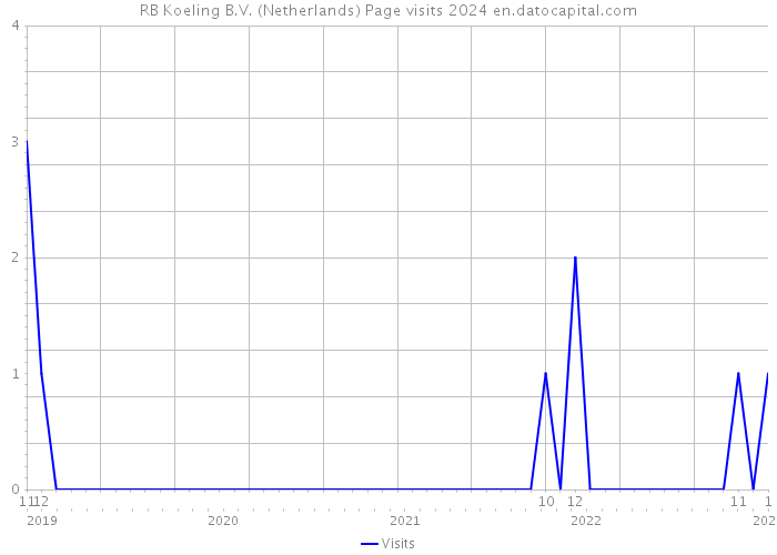 RB Koeling B.V. (Netherlands) Page visits 2024 