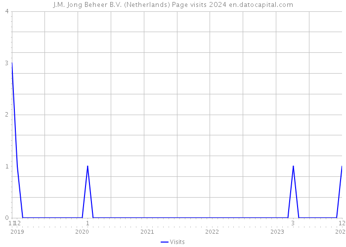 J.M. Jong Beheer B.V. (Netherlands) Page visits 2024 