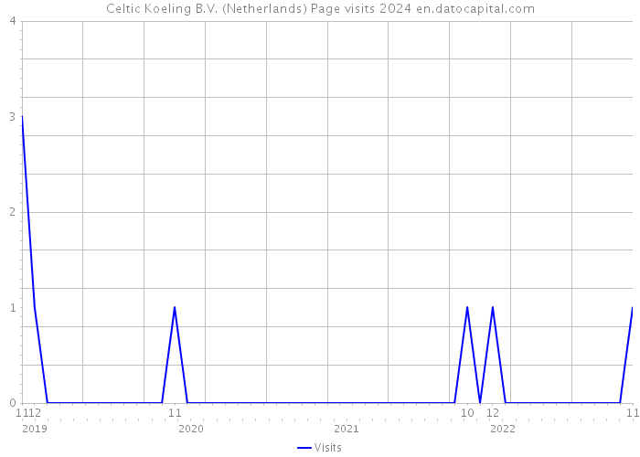 Celtic Koeling B.V. (Netherlands) Page visits 2024 