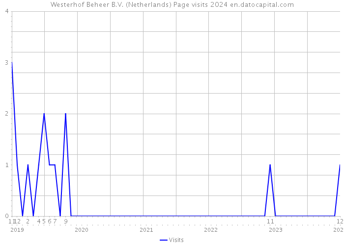Westerhof Beheer B.V. (Netherlands) Page visits 2024 