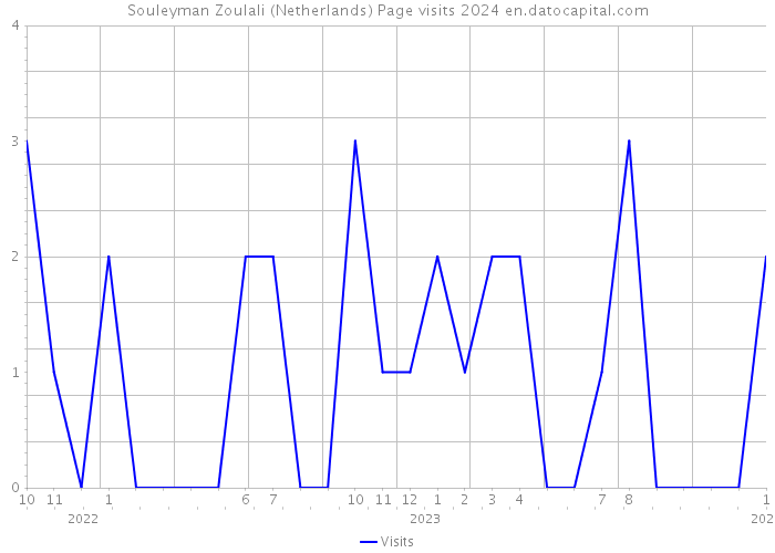 Souleyman Zoulali (Netherlands) Page visits 2024 