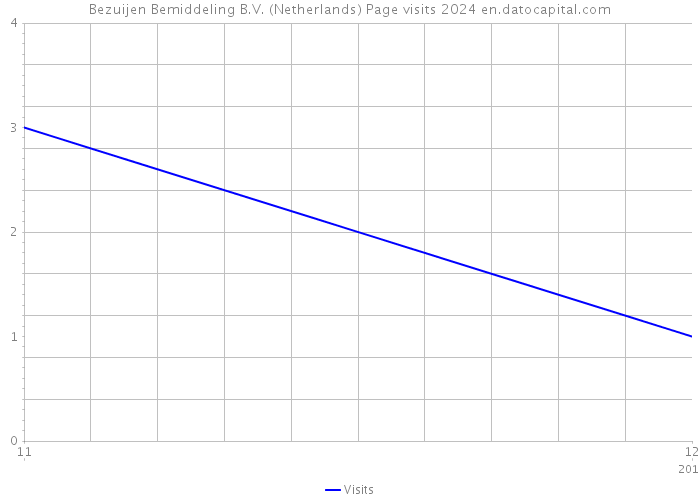 Bezuijen Bemiddeling B.V. (Netherlands) Page visits 2024 