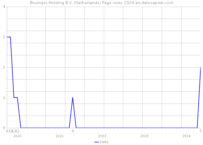 Bruintjes Holding B.V. (Netherlands) Page visits 2024 