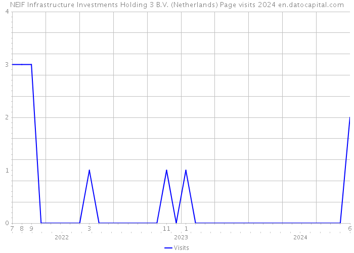 NEIF Infrastructure Investments Holding 3 B.V. (Netherlands) Page visits 2024 