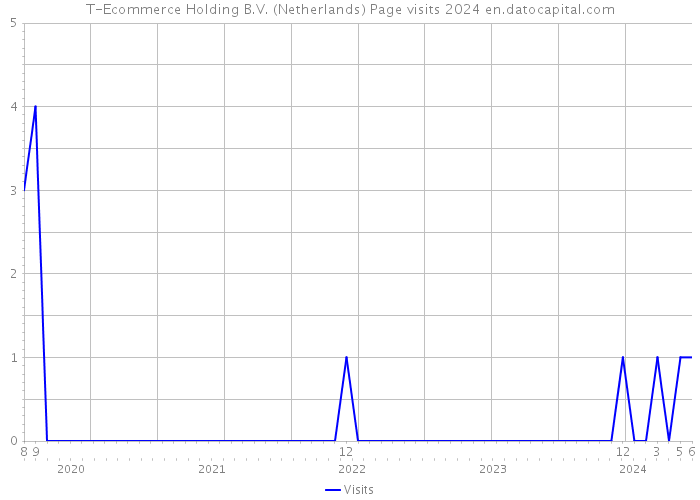 T-Ecommerce Holding B.V. (Netherlands) Page visits 2024 