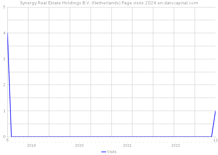 Synergy Real Estate Holdings B.V. (Netherlands) Page visits 2024 