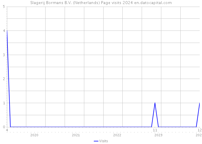 Slagerij Bormans B.V. (Netherlands) Page visits 2024 