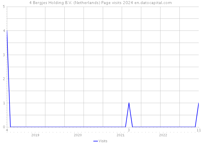 4 Bergjes Holding B.V. (Netherlands) Page visits 2024 