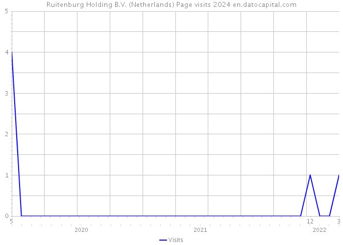 Ruitenburg Holding B.V. (Netherlands) Page visits 2024 