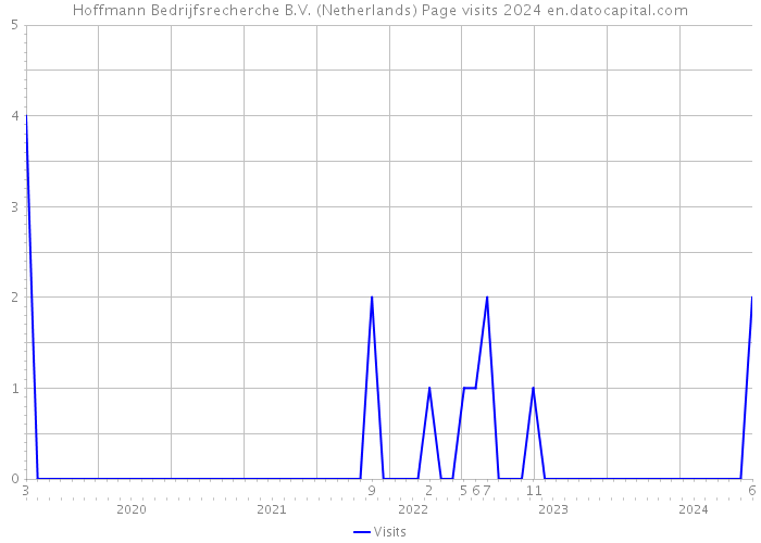 Hoffmann Bedrijfsrecherche B.V. (Netherlands) Page visits 2024 