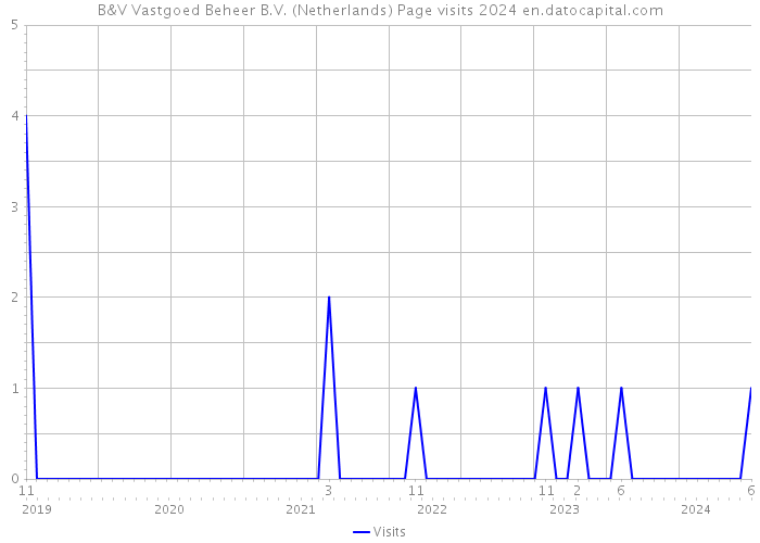 B&V Vastgoed Beheer B.V. (Netherlands) Page visits 2024 