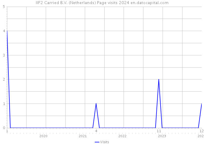 IIF2 Carried B.V. (Netherlands) Page visits 2024 