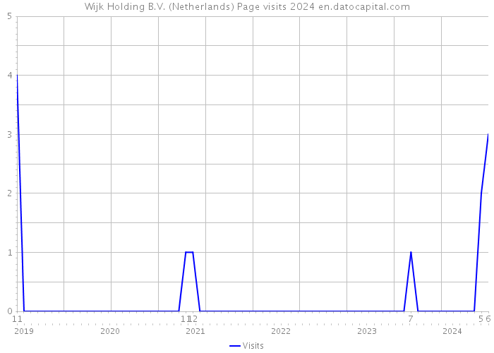 Wijk Holding B.V. (Netherlands) Page visits 2024 