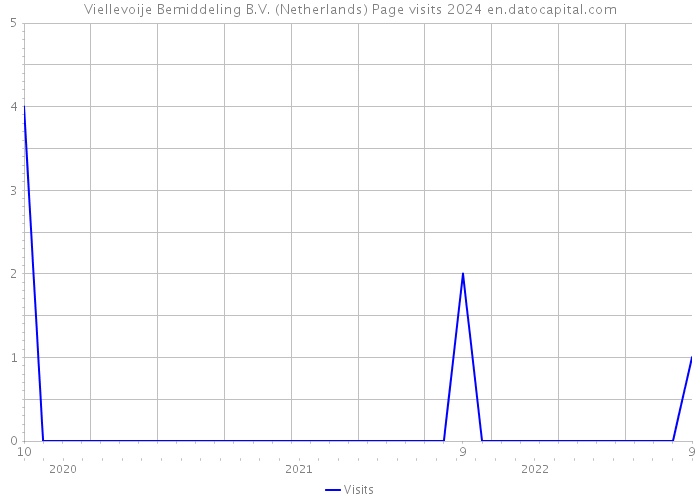 Viellevoije Bemiddeling B.V. (Netherlands) Page visits 2024 