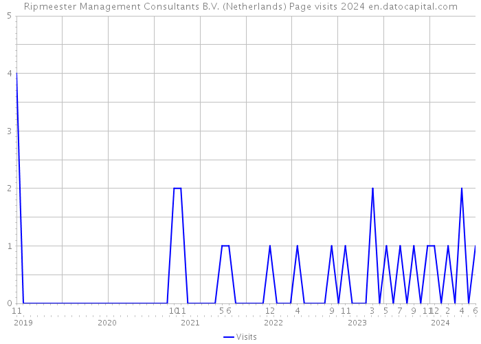 Ripmeester Management Consultants B.V. (Netherlands) Page visits 2024 