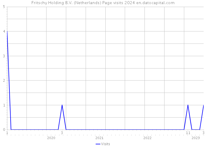 Fritschy Holding B.V. (Netherlands) Page visits 2024 