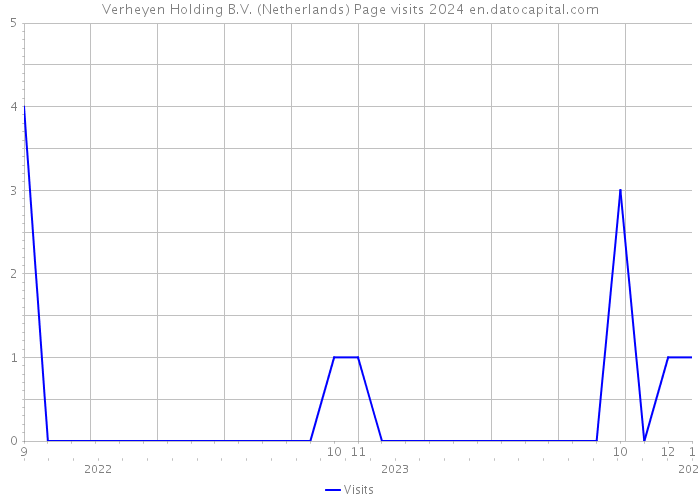 Verheyen Holding B.V. (Netherlands) Page visits 2024 