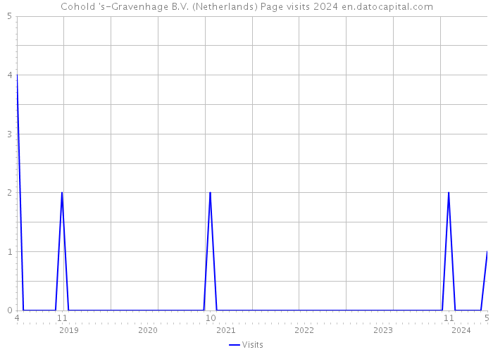 Cohold 's-Gravenhage B.V. (Netherlands) Page visits 2024 