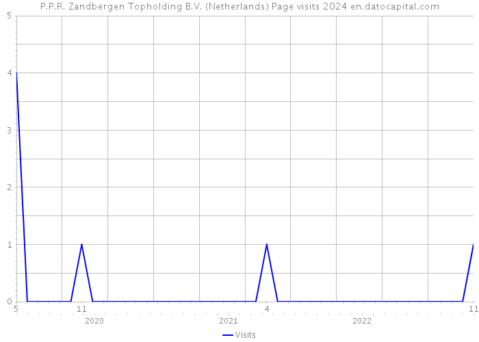 P.P.R. Zandbergen Topholding B.V. (Netherlands) Page visits 2024 