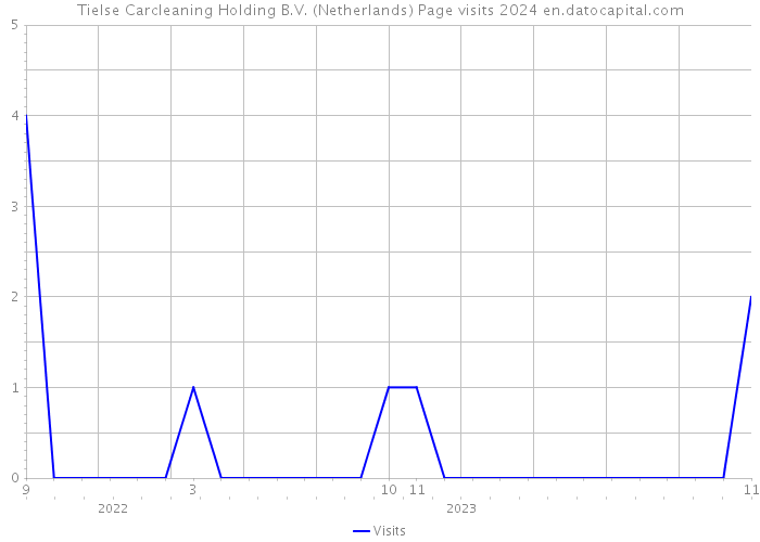 Tielse Carcleaning Holding B.V. (Netherlands) Page visits 2024 