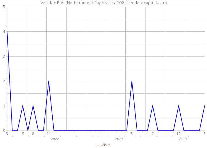 Veruloc B.V. (Netherlands) Page visits 2024 
