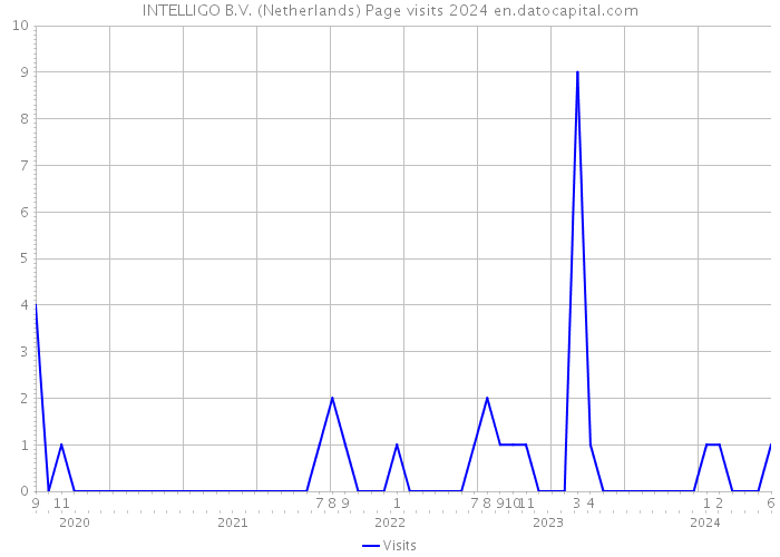 INTELLIGO B.V. (Netherlands) Page visits 2024 