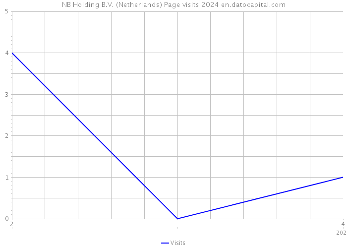 NB Holding B.V. (Netherlands) Page visits 2024 
