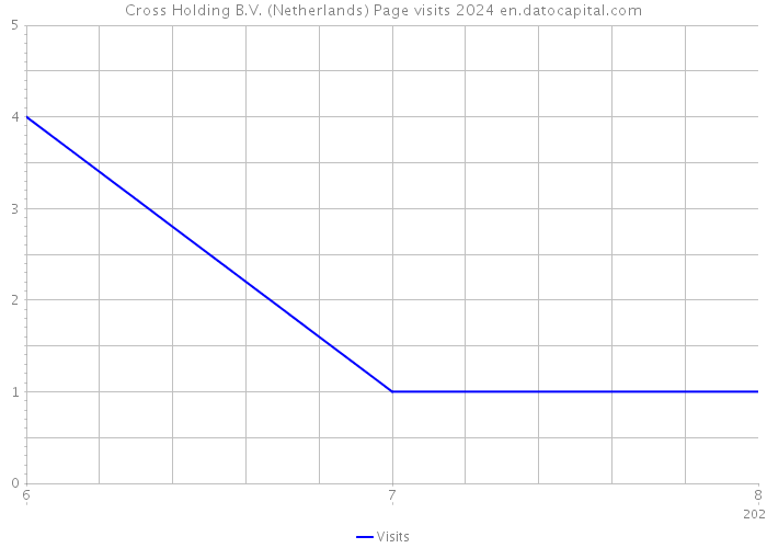 Cross Holding B.V. (Netherlands) Page visits 2024 