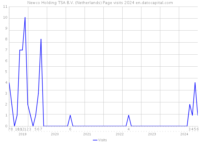 Newco Holding TSA B.V. (Netherlands) Page visits 2024 