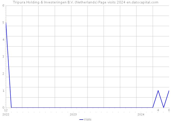 Tripura Holding & Investeringen B.V. (Netherlands) Page visits 2024 