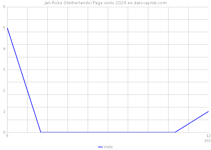 Jan Roke (Netherlands) Page visits 2024 