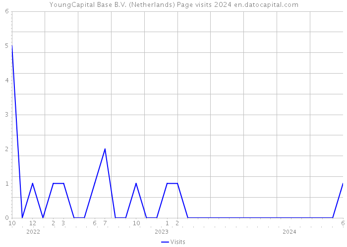 YoungCapital Base B.V. (Netherlands) Page visits 2024 