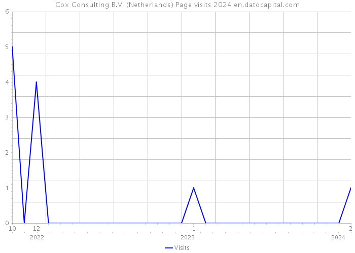 Cox Consulting B.V. (Netherlands) Page visits 2024 