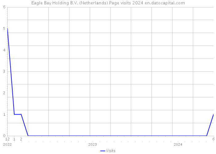 Eagle Bay Holding B.V. (Netherlands) Page visits 2024 